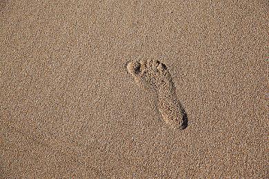 传《细胞分裂重制版》敌人能检测反射声光发现玩家